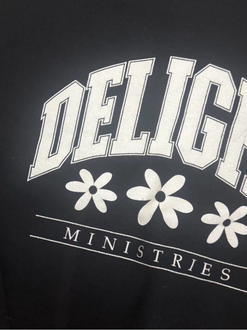 Delight Ministries Sweatshirt Pullover Crewneck
